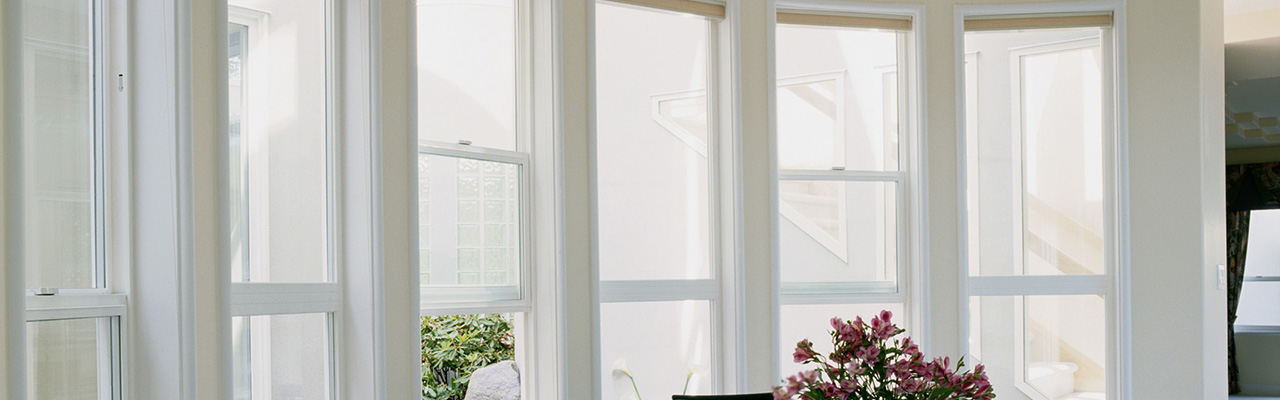 Double Hung Windows