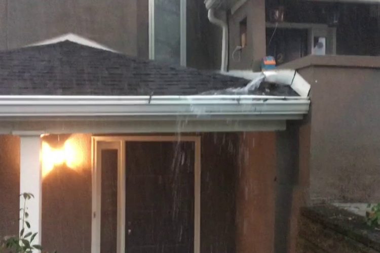 A Rare Opportunity: Half-Price Gutters This Summer from Richmond’s Most Trusted Contractor!
